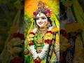 mohe sant banayio so Radha radha#bhakti #youtubeshorts #shorts #4kststus @Bhakti__Status__022