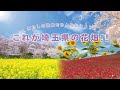 【わたしの絶景をみんなにシェア!|これが埼玉県の花畑!!】Webサイト用