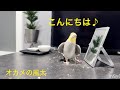 2026.6.19 こんにちは♪が可愛すぎる♡