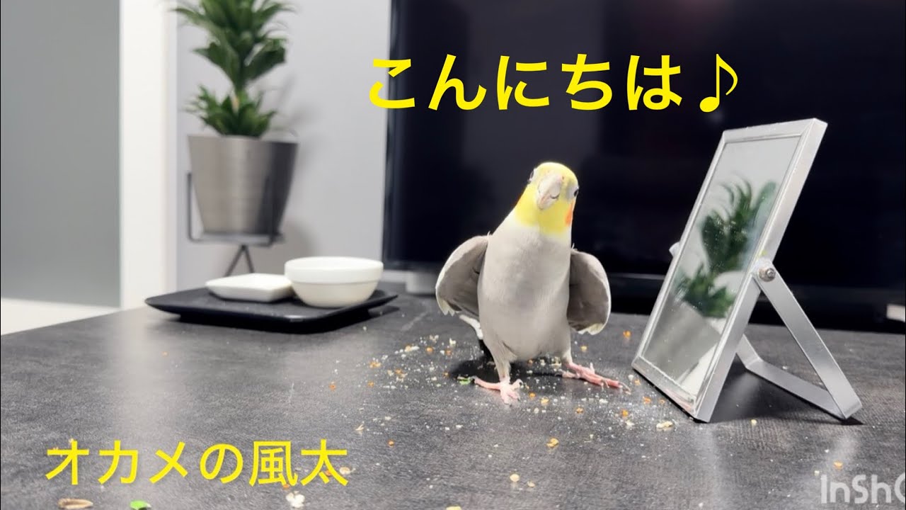 2026.6.19 こんにちは♪が可愛すぎる♡
