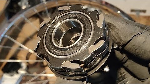 Make your BMX cassette hub louder