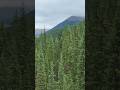 my one day in the mountains #nature #kemping #mountain