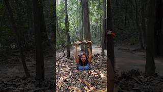 Cu Chi Tunnels In Vietnam Is Must Visitinclude Mekong Delta And Plan 1 Day Tour Places In Vietnam