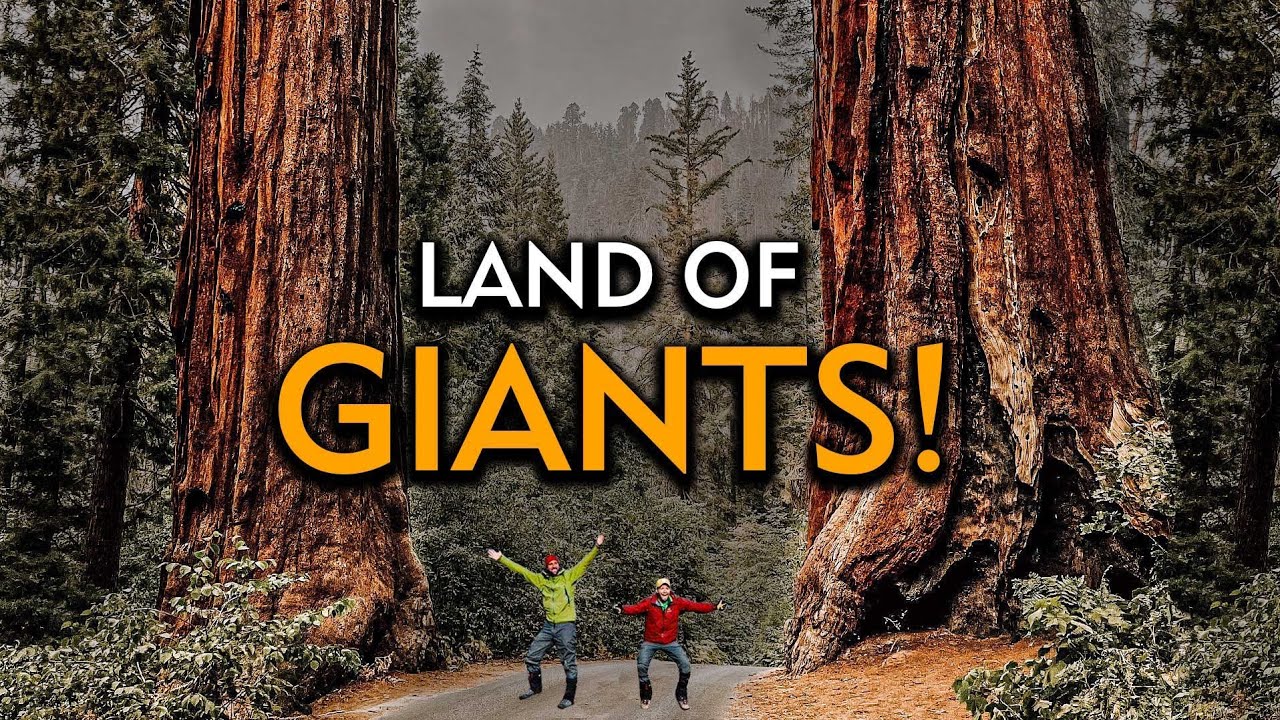 THINGS TO DO in Sequoia National Park - YouTube
