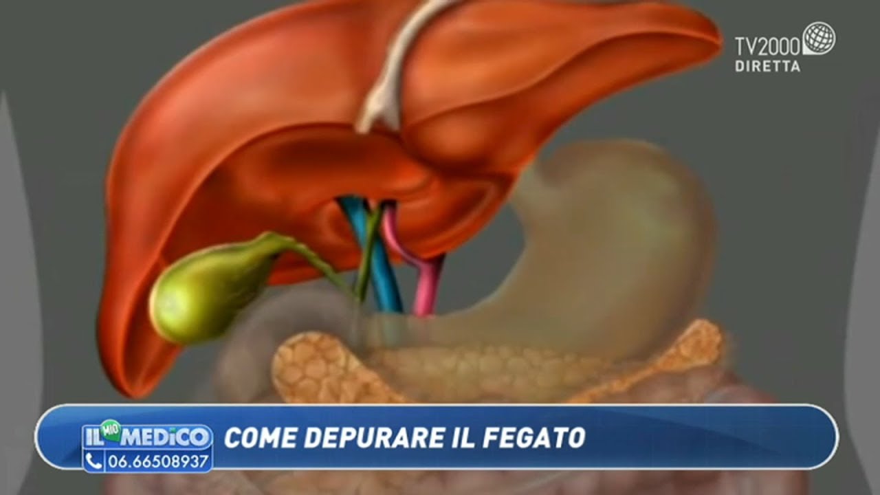 Il Mio Medico Come Depurare Il Fegato