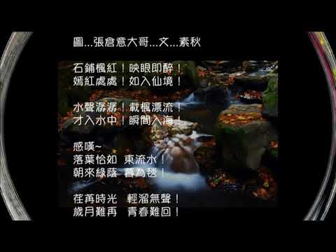(秋)詞.影.歌.合輯(寶島四季謠)
