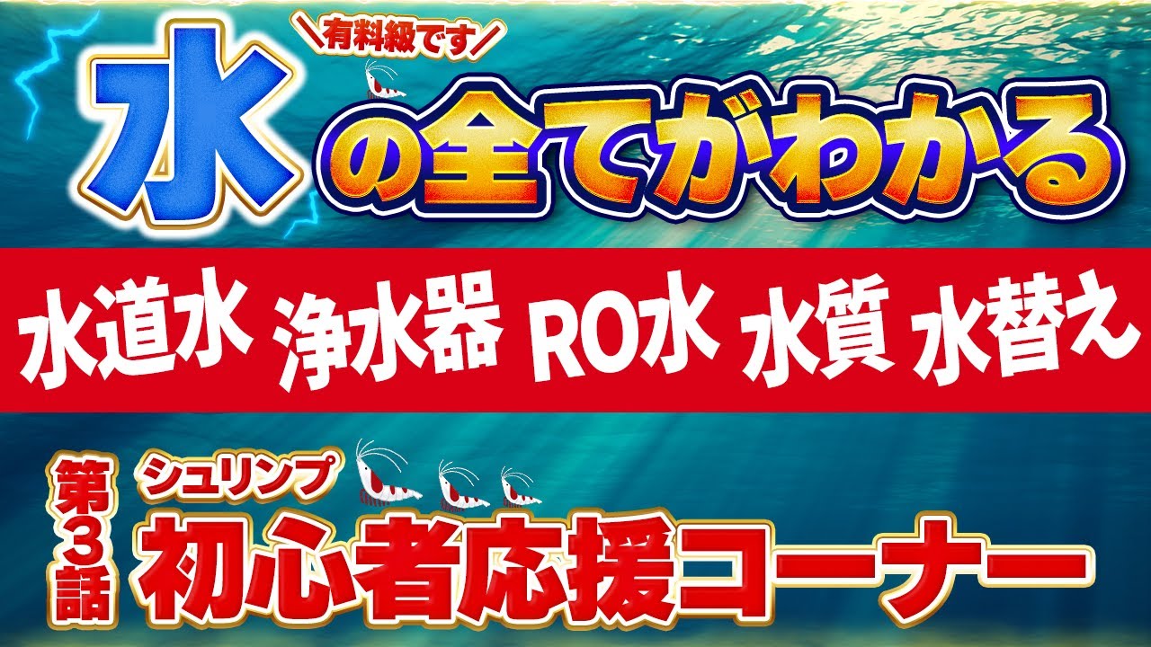 【初心者応援コーナー！】 水について 第3話【ローキーズネオ】