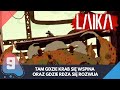 Laika: Aged Through Blood - #9 - Tam Gdzie Krab się Wspina oraz Gdzie Rdza się Rozwija