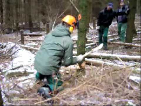 tree chopping lumberjacks with ax in saarbrcken ge...