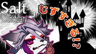【＃２】ダークソウルみたいなゲーム久々でちょっと楽しい【Salt and Sanctuary】