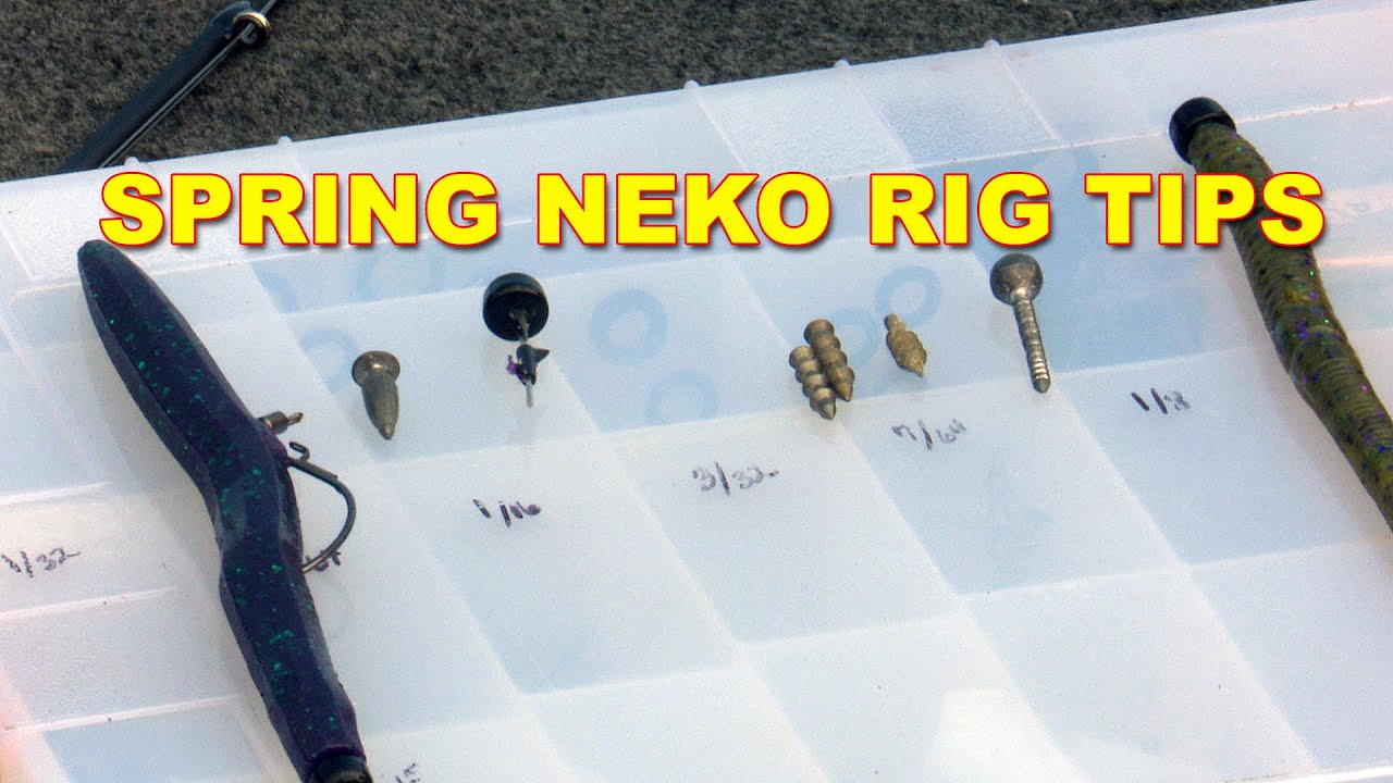 Neko Rig Fishing For Bass: Everything You Need To Know! 