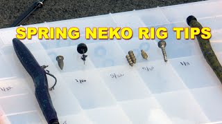 Neko Rig for Spring: What You Need To Know