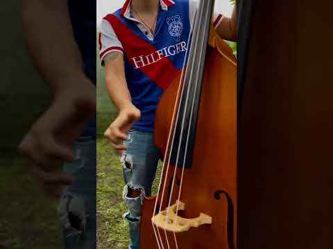 La cruz de marihuana - Camilo Baena (Cover)