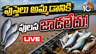 LIVE | పుస్తెలు అమ్మడానికి పులస జడలేదు! | Godavari Pulasa Fish | Pulasa Fish Shortage | 10TV