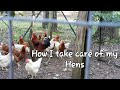 Winter Blast || Taking care of the Laying Hens || Easy French Toast || Bible Study