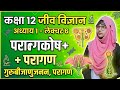 कक्षा12 जीवविज्ञान | अध्याय 1: पुष्पी पादपों में लैंगिक जनन | L-6 गुरु बीजाणु जनन परागकोष की संरचना
