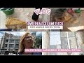 Vlog: Fiz um piso com o que tinha | Dia do Enem | Cachorros perdidos 