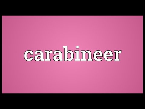Header of carabineer