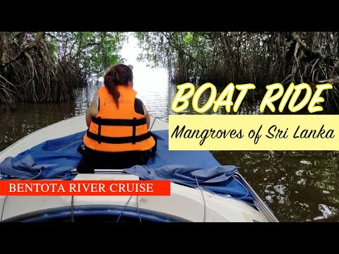 Boat Ride Through Mangroves in Bentota [SRI LANKA]