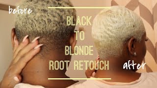 HOW TO: Root Retouch for Platinum Blonde Hair at home | BetheBeat