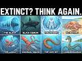 10 Disturbing Deep Sea Creatures Believed To Lurk In Our Oceans