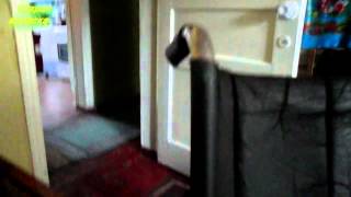 Коляска танк (шикарная) Коляска танк (шикарная)
