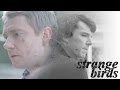 Sherlock + John | Strange Birds