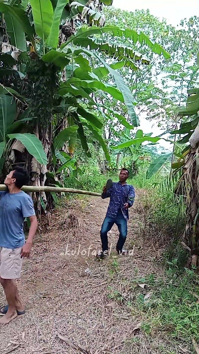 apes perkara sandal, video lucu bukin ngakak #shorts #videolucu #videongakak
