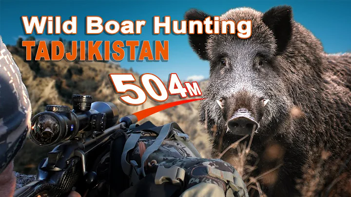 Wild Boar Hunting in Tajikistan // Wild Boar Hunting in Tajikistan // 2022