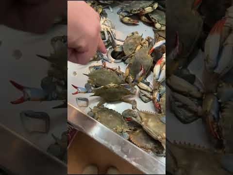 ผลสลากกินแบ่งรัฐบาล วันที่ 1 พย. 2567