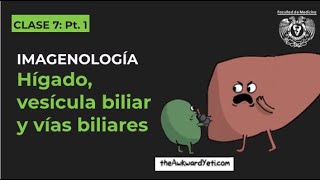 07.1 - Imagenología del hígado, vesícula biliar y vías biliares