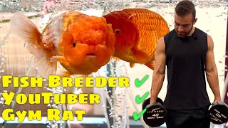 Day in the Life of a FULL-TIME Content Creator + Goldfish Breeder