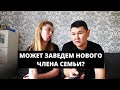 Чива 03| ДАВАЙ ЗАВЕДЕМ НОВОГО ЧЛЕНА СЕМЬИ| КЭТ БЮДЖЕТ