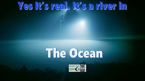 Mike DeGruy and the bottom of the Ocean