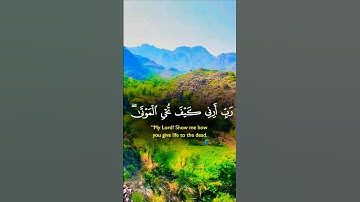 تلاوة تفوق الوصف قرأن كريم راحة نفسية #elmulquranعلم #قران_كريم #تلاوة #المصحف #اكسبلور #trend