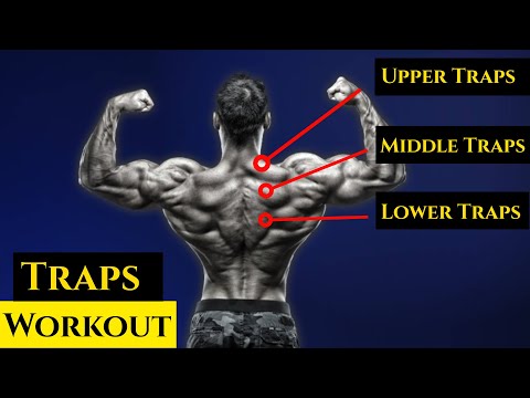 Best Traps Workout to Grow Your Trapezius Muscles Fast! – Transparent Labs