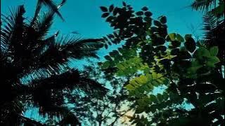 Story Wa - Cinematic Alam Pagi Hari Di Desa