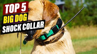 Big Dog Shock Collars Training & Safety Guide 2026