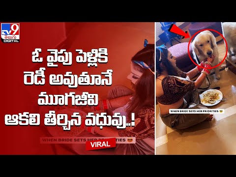 ఓ వైపు పెళ్లికి రెడీ అవుతూనే మూగజీవి ఆకలి తీర్చిన వధువు..! @TV9TeluguDigital