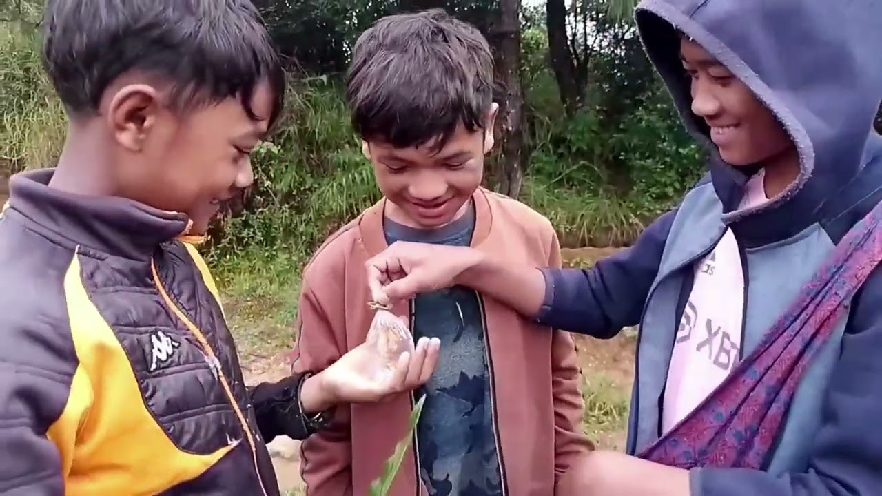 Haba phi thied peit iaka Shap +F