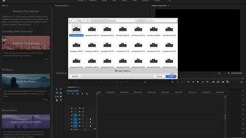 Compositing Animation Frames in Adobe Premiere
