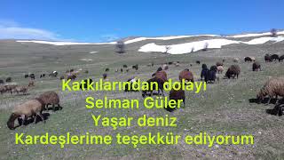 Dengbêj Mistefayê Cangoranê(Bejna Zirav)
