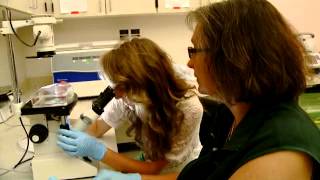 Stories of Success: School of Biomedical Engineering