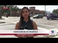 🔴 EN VIVO | Noticias Univision Tampa Bay 12:30 p.m. 01/07/26