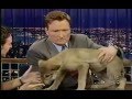 Late Night 'Jarod Miller & Animals (Wolf, Prairie Dogs, Armadillos, Toucan) 6/28/02