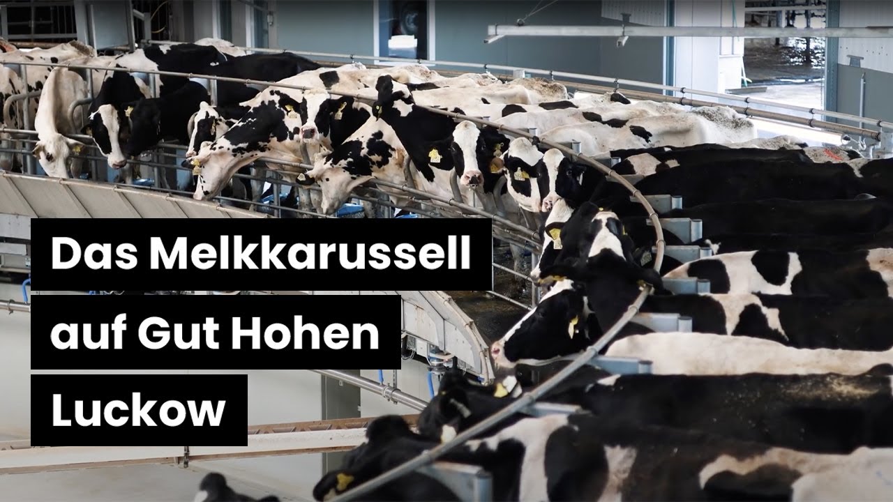 Das Melkkarussell auf Gut Hohen Luckow - Rund um die Uhr Melken im neuen 80er Melkkarussell