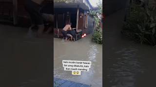 Download Lagu Dapat ular kadut #ularkadut #snake #animals #ular #shorts MP3