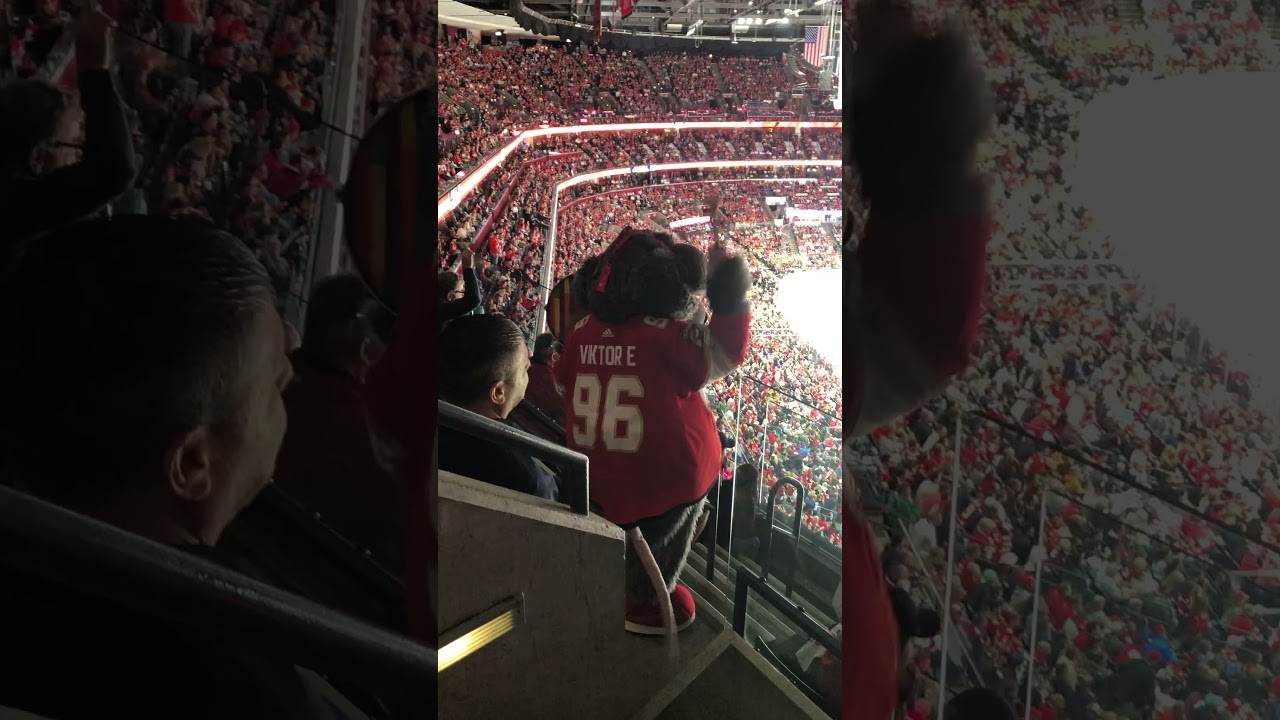 Florida Panthers- The Rat Victor E,  LETS GO PANTHERS 