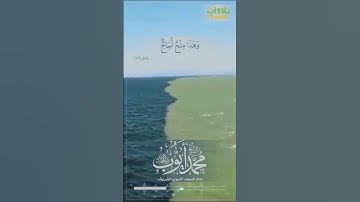 سورة فاطر (الآية 12) - الشيخ محمد أيوب رحمه الله