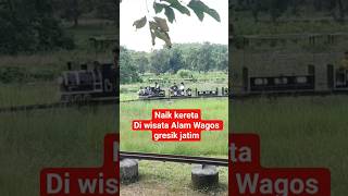Wisata Alam WAGOS Gresik Jawa timur‼️#wisataalam #wagos